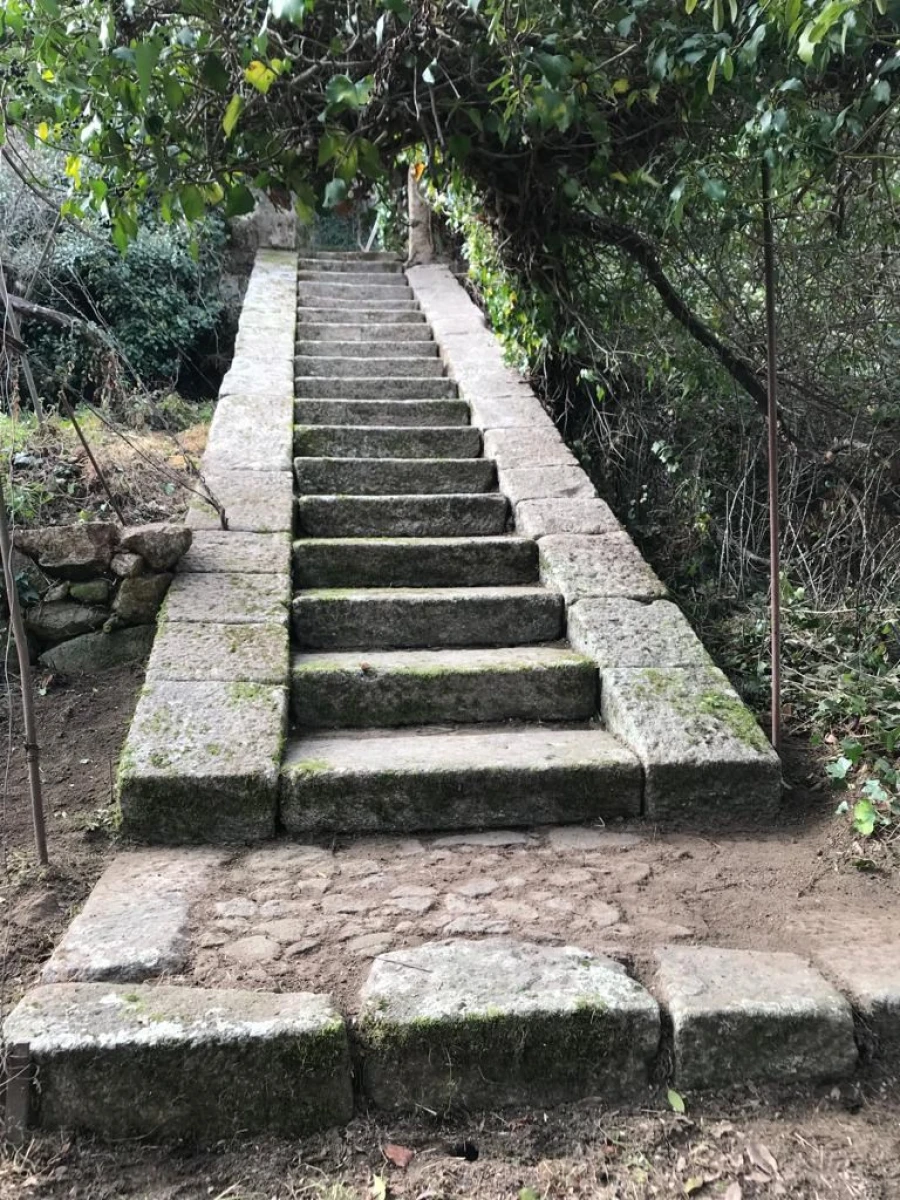 Moradia T10 para Venda em Nossa Senhora da Conceição, São Pedro e São Dinis Foto 50