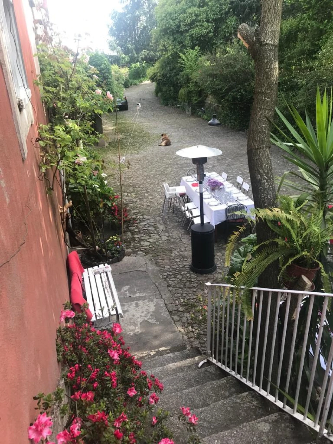 Moradia T10 para Venda em Nossa Senhora da Conceição, São Pedro e São Dinis Foto 11