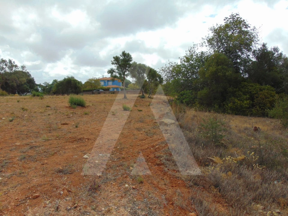 Terreno para Venda em Almancil Foto 4
