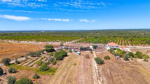 Quinta T2 para Venda em Benavente