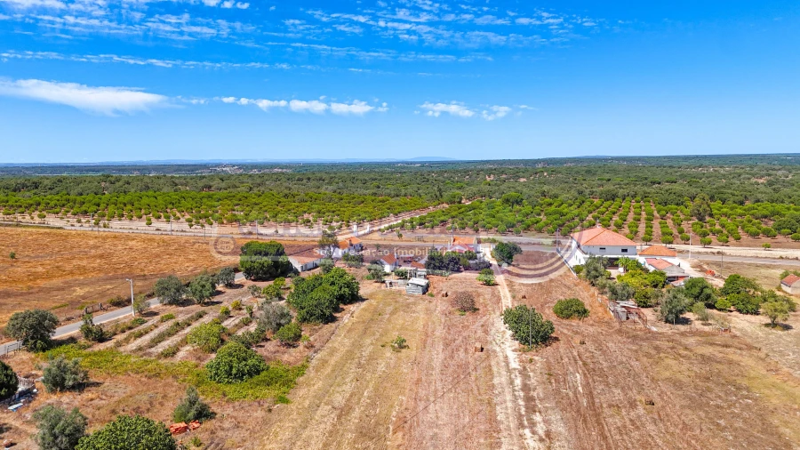 Quinta T2 para Venda em Benavente Foto 4