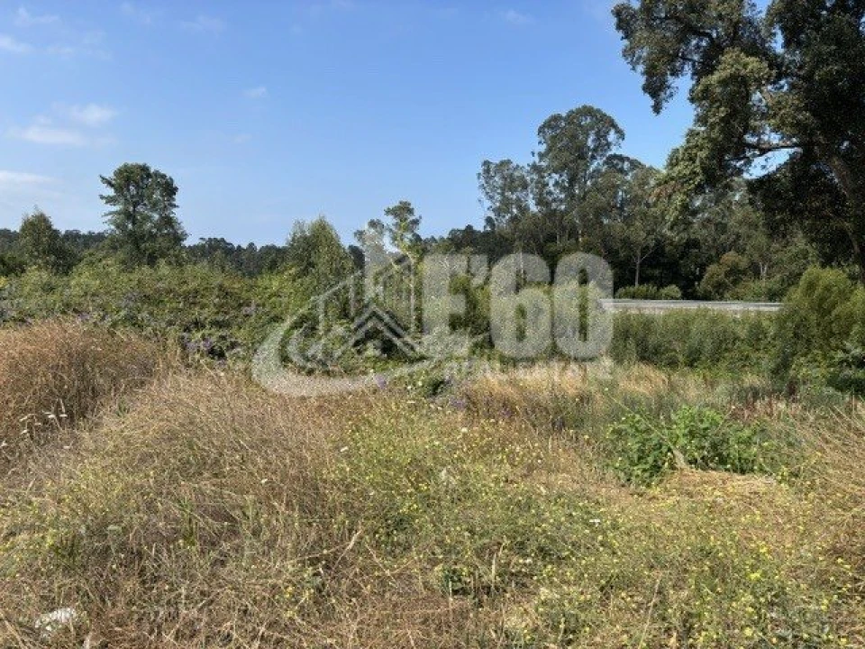 Terreno para Venda em Anta e Guetim Foto 1