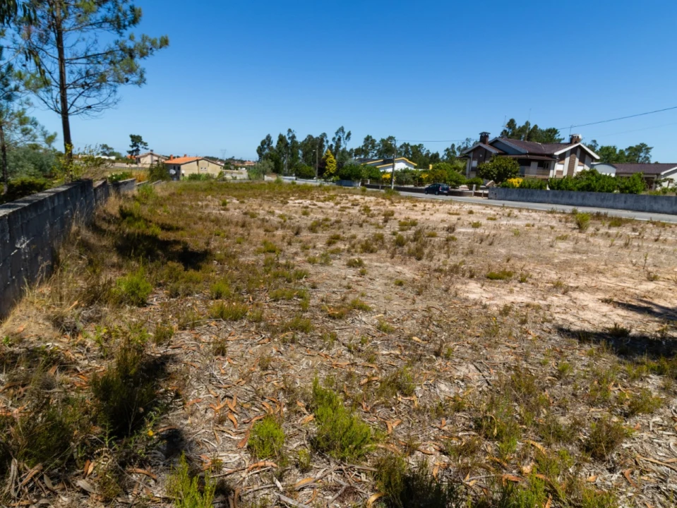 Terreno para Venda em Covões e Camarneira Foto 1