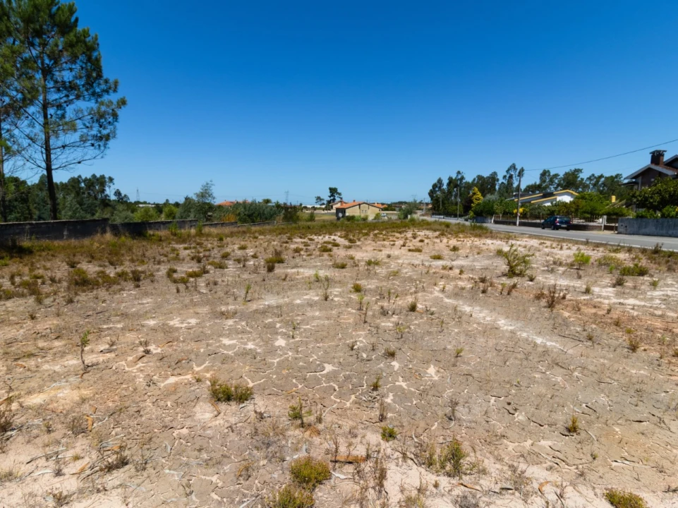 Terreno para Venda em Covões e Camarneira Foto 2