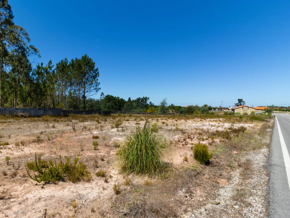 Terreno para Venda em Covões e Camarneira Foto 3