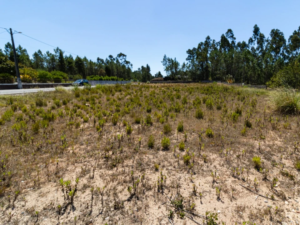 Terreno para Venda em Covões e Camarneira Foto 5