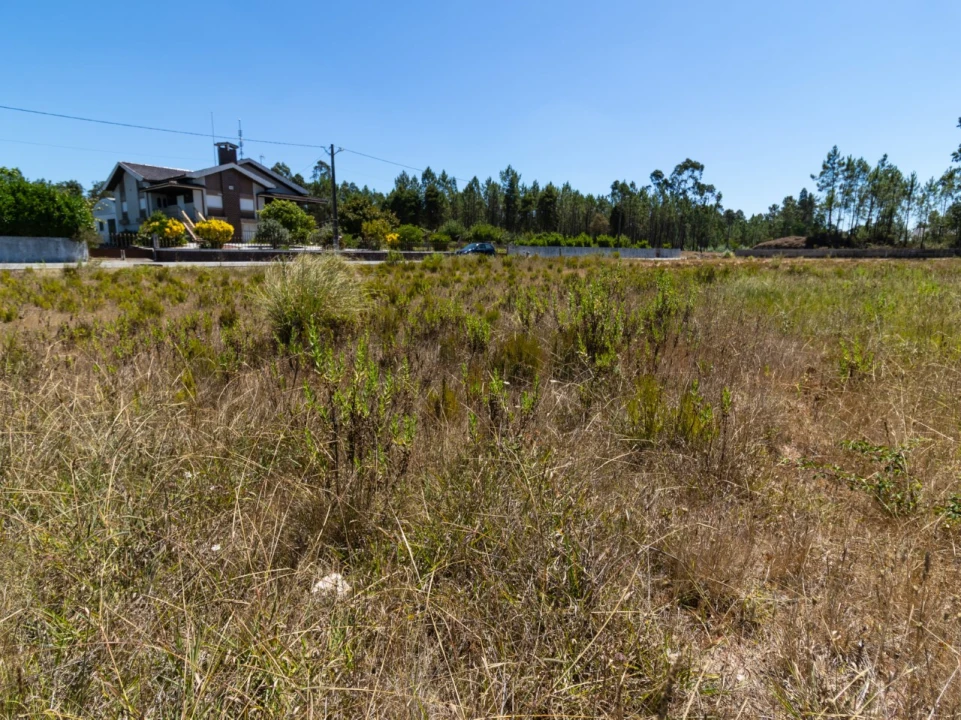 Terreno para Venda em Covões e Camarneira Foto 6