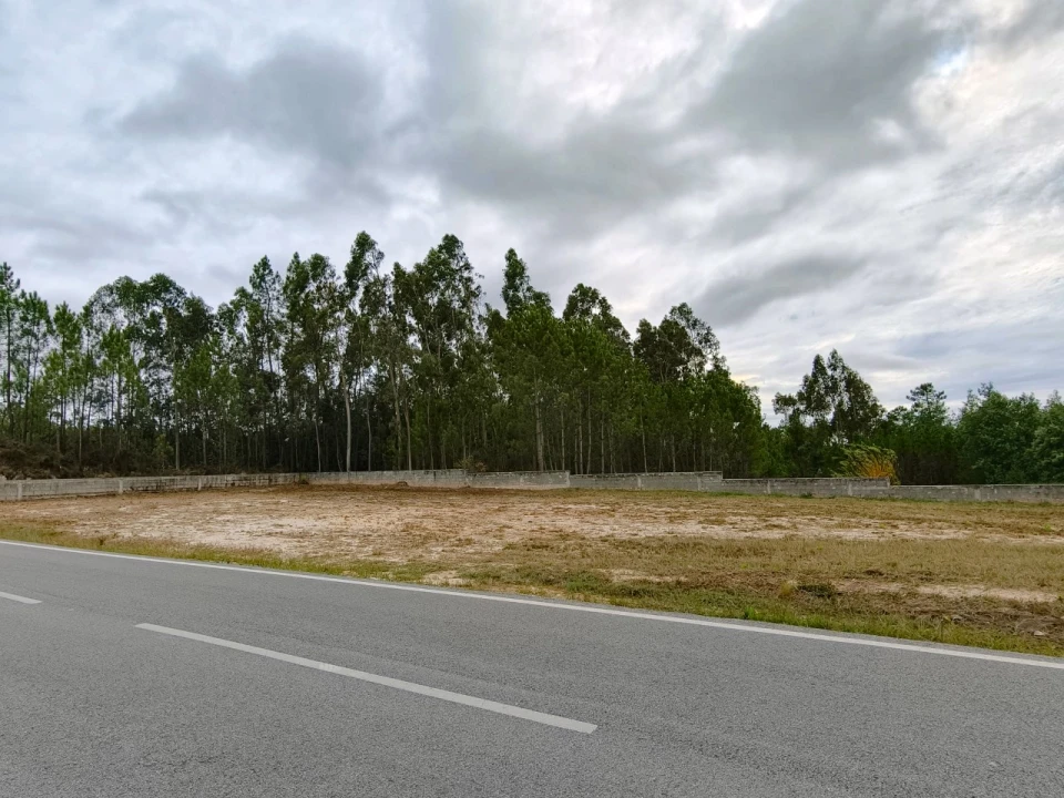 Terreno para Venda em Covões e Camarneira Foto 2