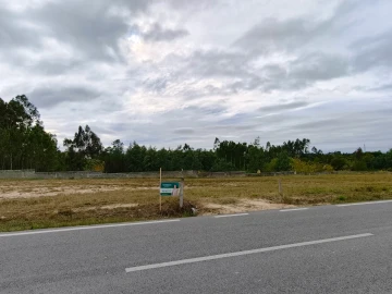 Terreno para Venda em Covões e Camarneira