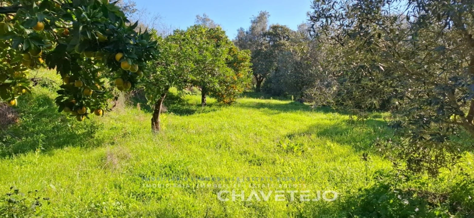 Terreno para Venda em Serra e Junceira Foto 1