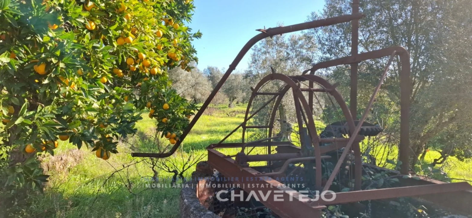 Terreno para Venda em Serra e Junceira Foto 6