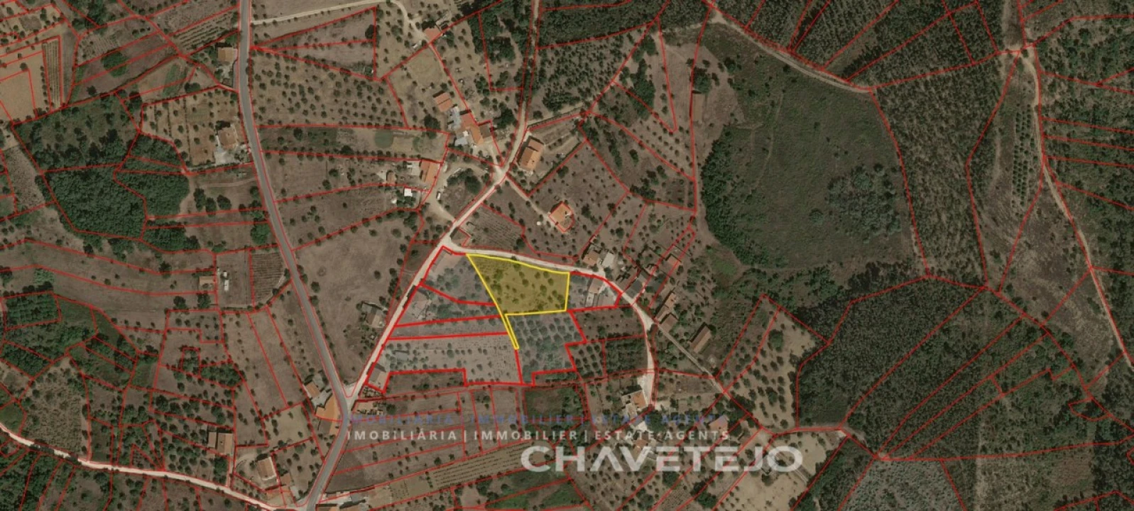 Terreno para Venda em Serra e Junceira Foto 7