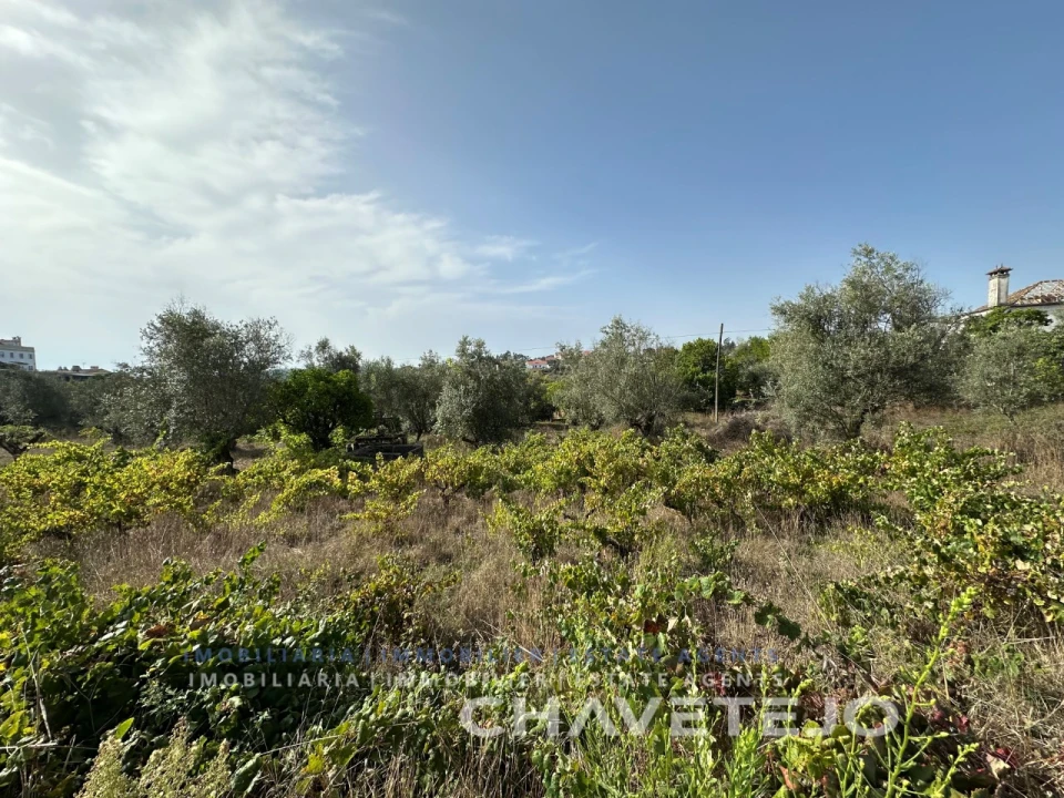 Terreno para Venda em Serra e Junceira Foto 12