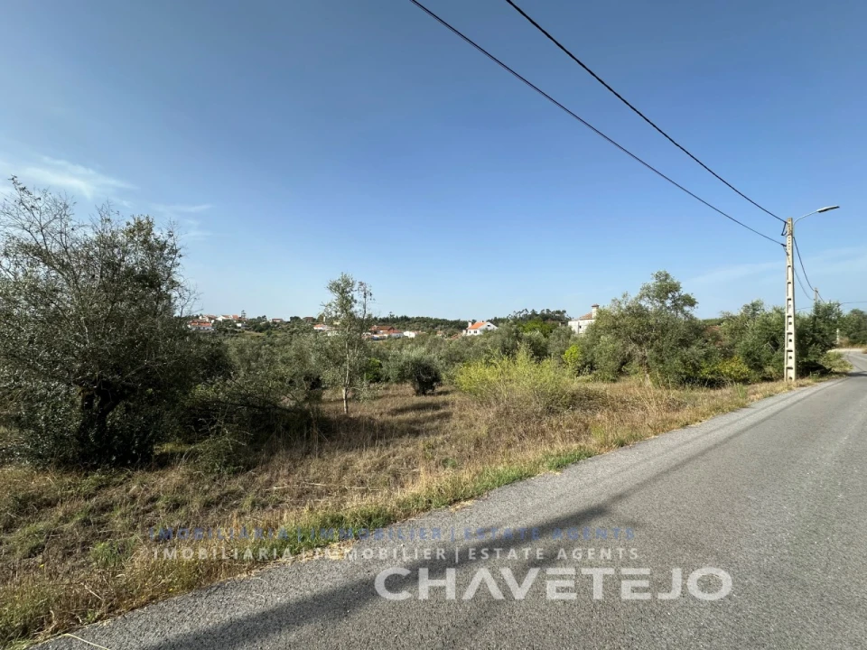 Terreno para Venda em Serra e Junceira Foto 13