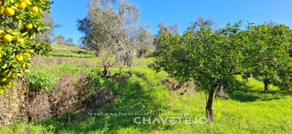 Terreno para Venda em Serra e Junceira