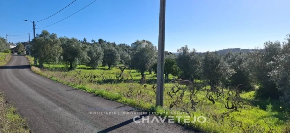 Terreno para Venda em Serra e Junceira