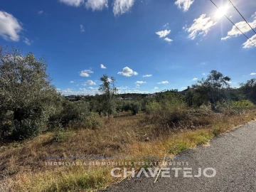 Terreno para Venda em Serra e Junceira