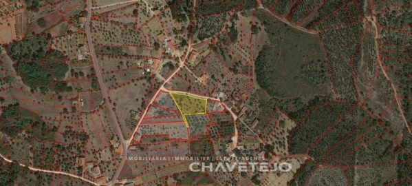 Terreno para Venda em Serra e Junceira