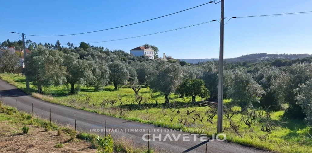 Terreno para Venda em Serra e Junceira Foto 2