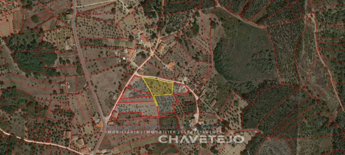 Terreno para Venda em Serra e Junceira Foto 7