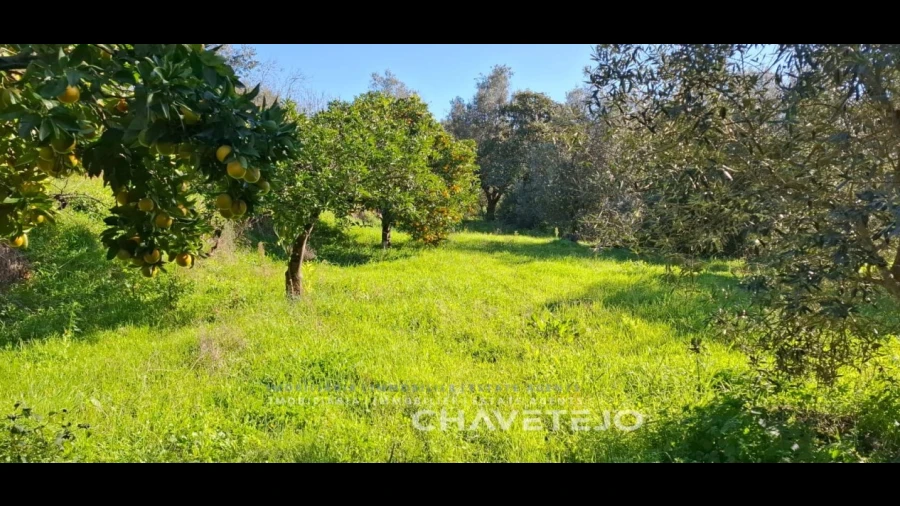 Terreno para Venda em Serra e Junceira
