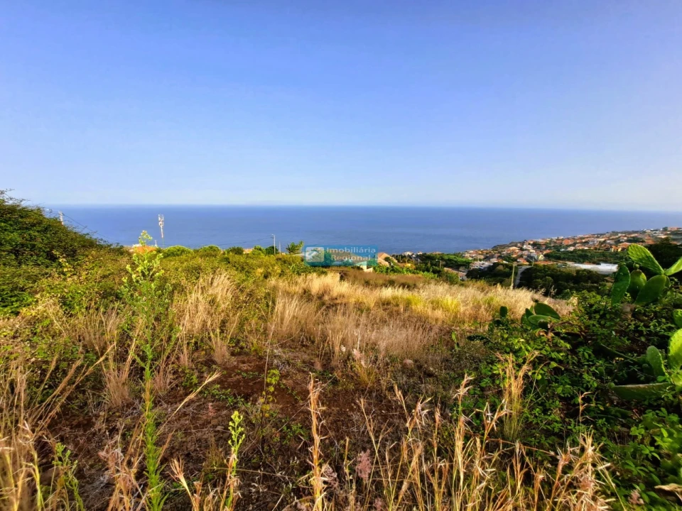 Terreno para Venda em Gaula Foto 2