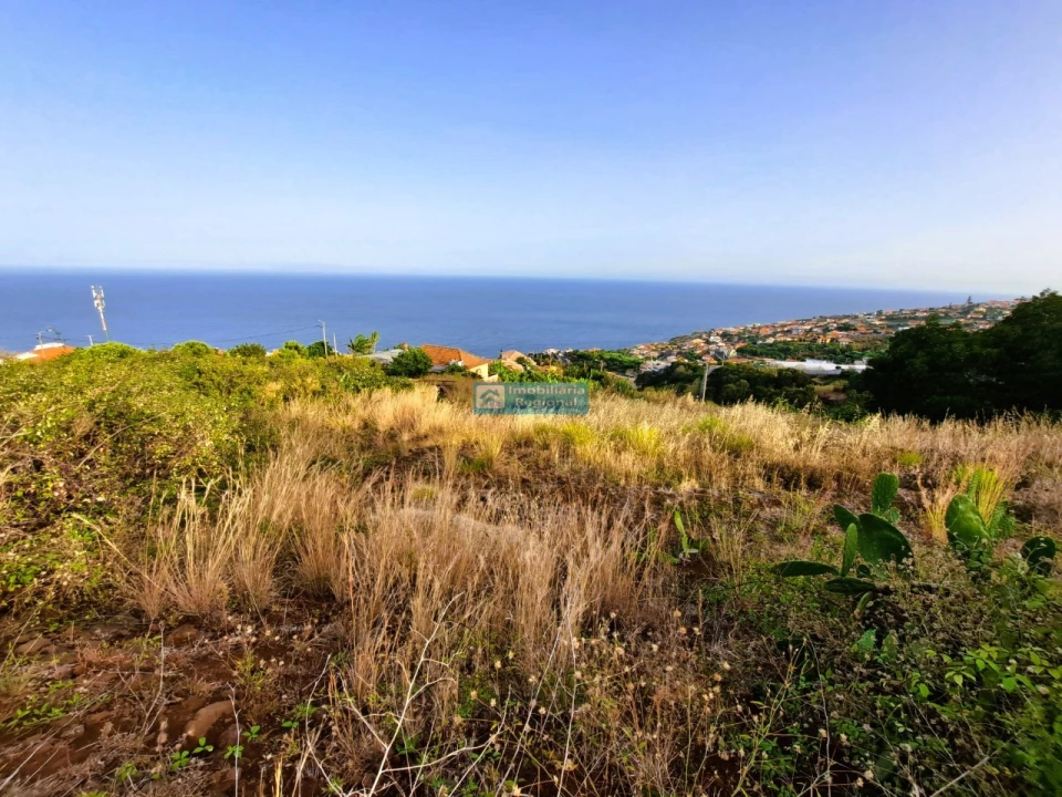 Terreno para Venda em Gaula Foto 6