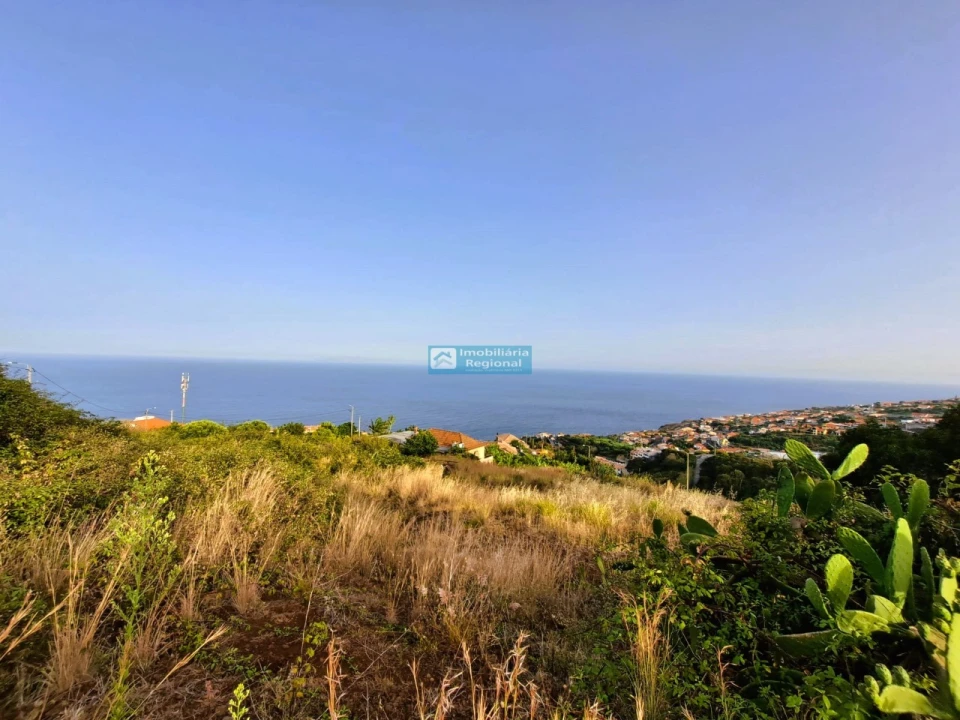 Terreno para Venda em Gaula Foto 1
