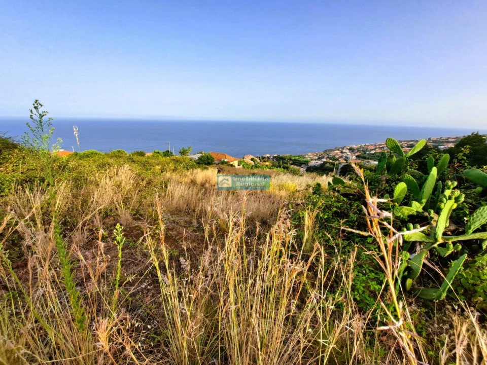 Terreno para Venda em Gaula Foto 9