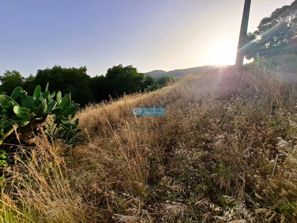 Terreno para Venda em Gaula Foto 10