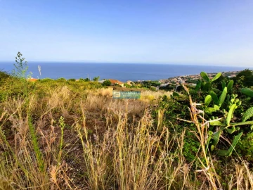 Terreno para Venda em Gaula