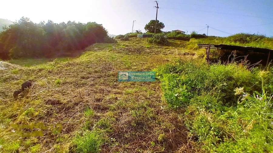 Terreno para Venda em Gaula Foto 4