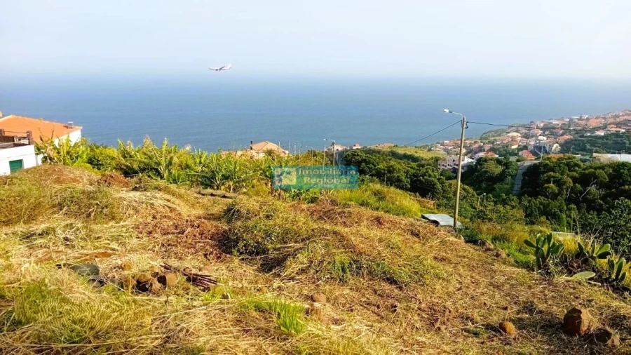 Terreno para Venda em Gaula Foto 7