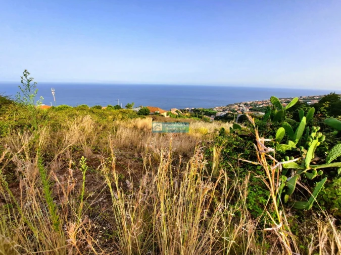 Terreno para Venda em Gaula Foto 9