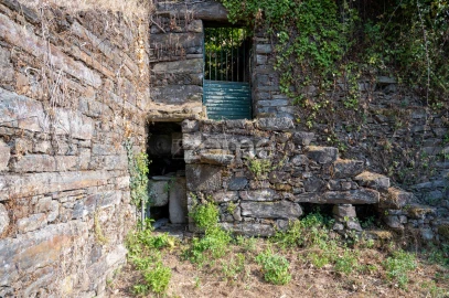 Quinta T12 para Venda em Vilarinho dos Freires