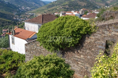 Quinta T12 para Venda em Vilarinho dos Freires