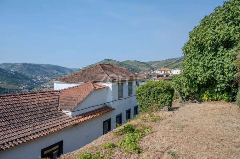 Quinta T12 para Venda em Vilarinho dos Freires Foto 68