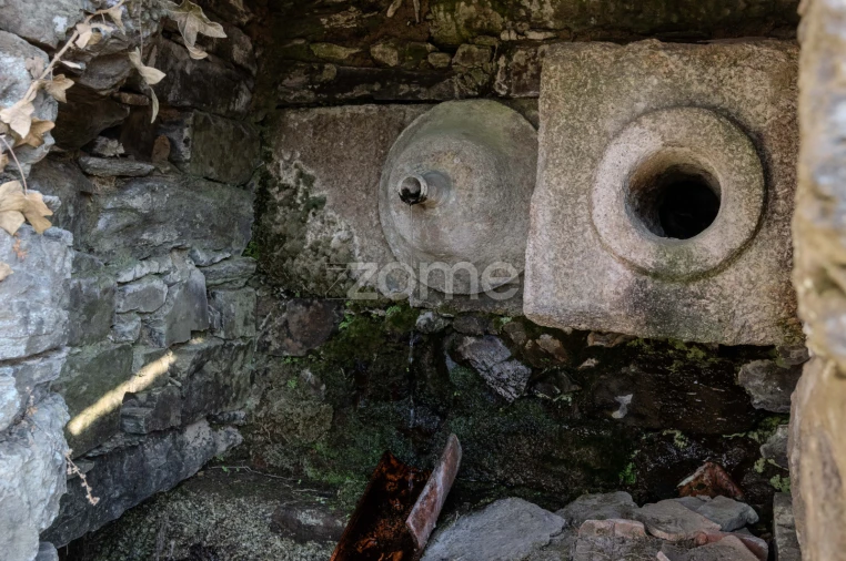Quinta T12 para Venda em Vilarinho dos Freires Foto 70