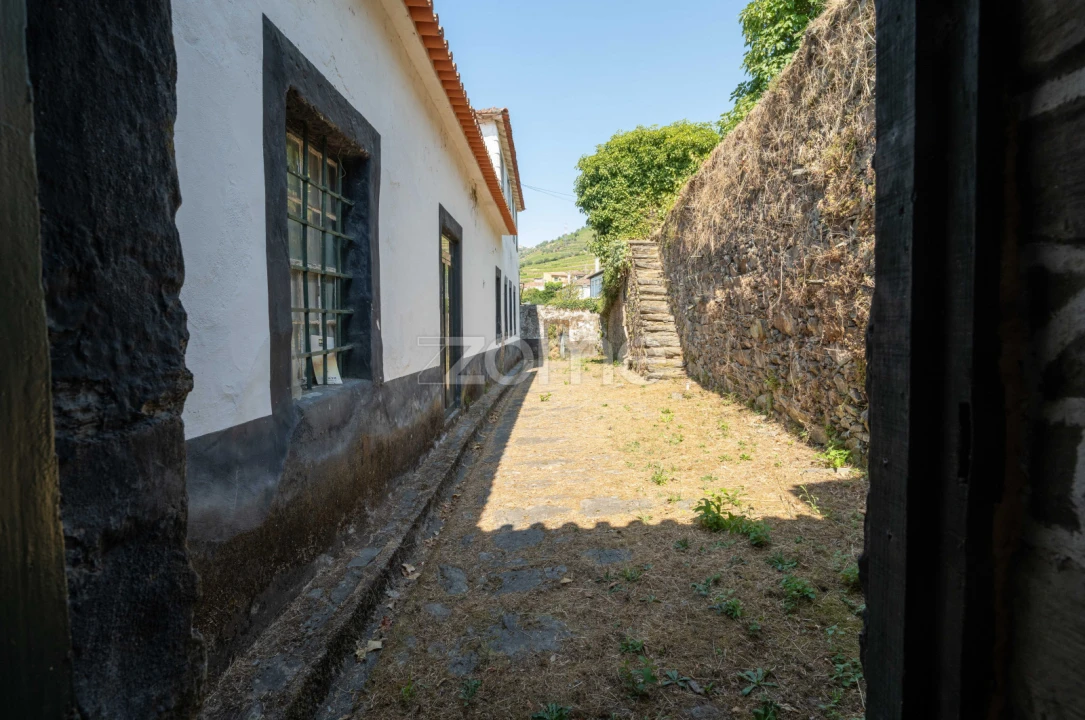 Quinta T12 para Venda em Vilarinho dos Freires Foto 50