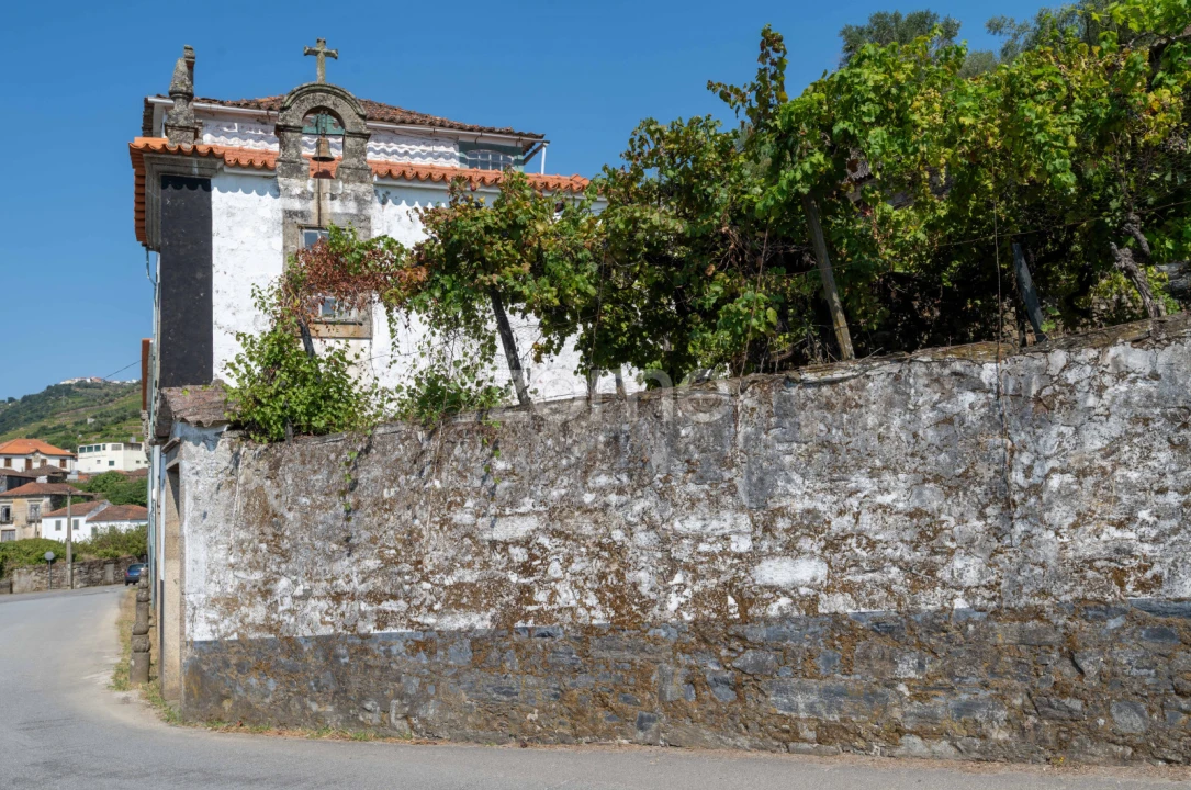 Quinta T12 para Venda em Vilarinho dos Freires Foto 63