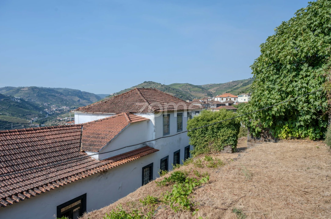 Quinta T12 para Venda em Vilarinho dos Freires Foto 68