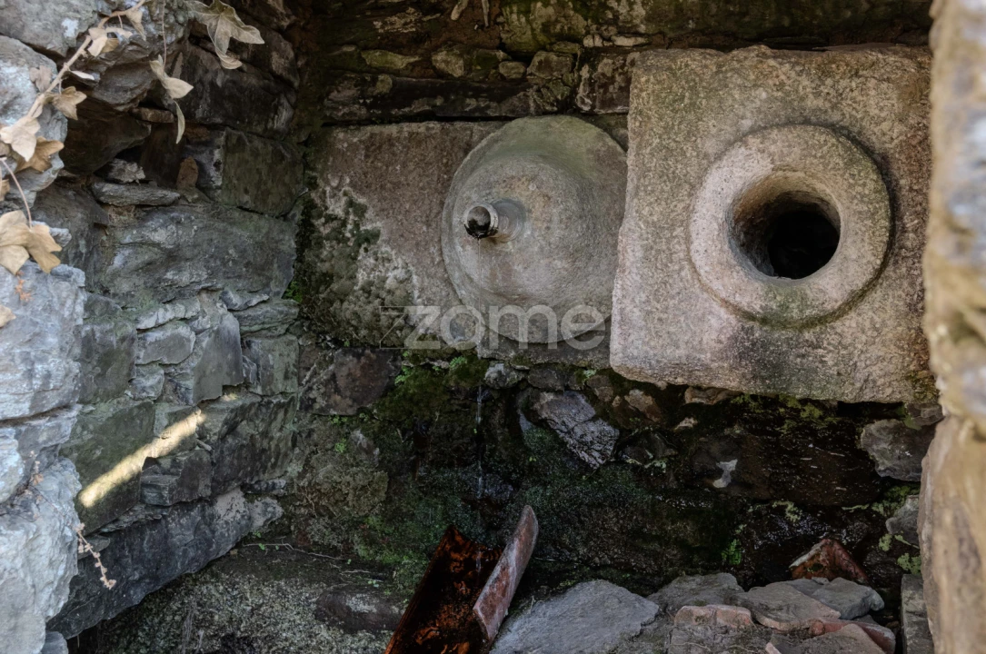 Quinta T12 para Venda em Vilarinho dos Freires Foto 70
