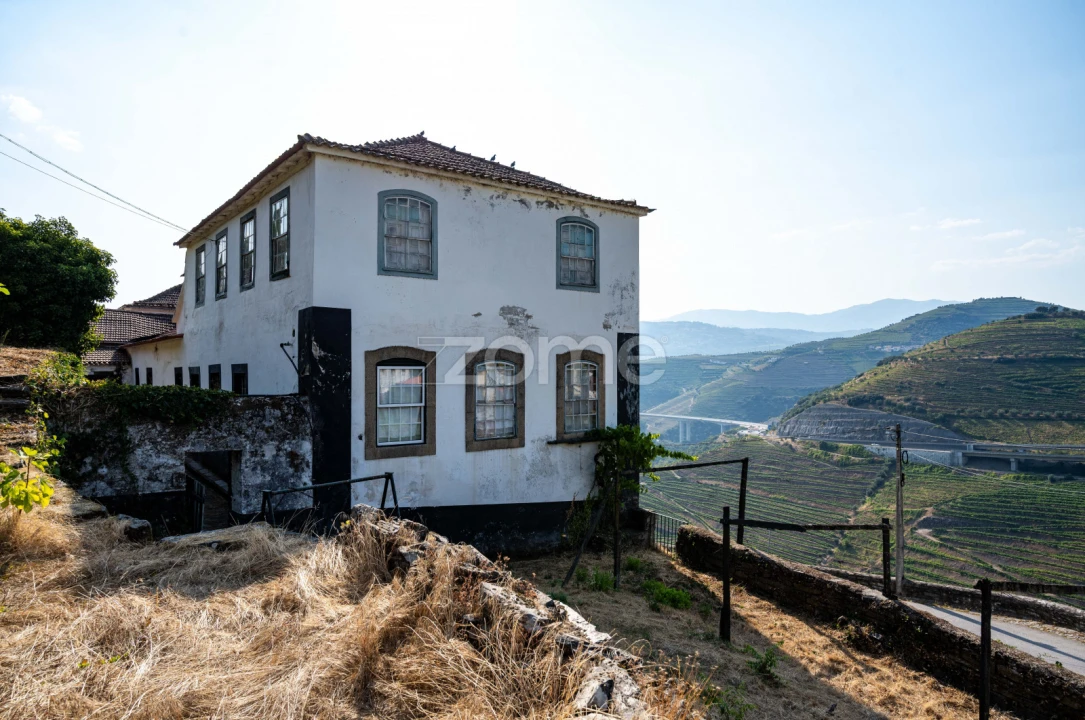 Quinta T12 para Venda em Vilarinho dos Freires Foto 72