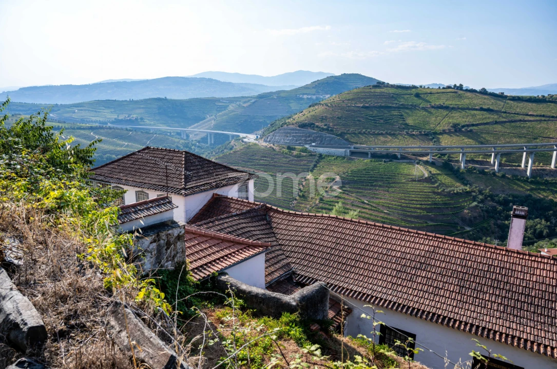 Quinta T12 para Venda em Vilarinho dos Freires Foto 1