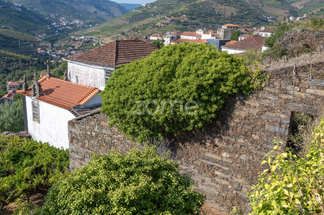 Quinta T12 para Venda em Vilarinho dos Freires Foto 75