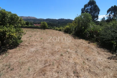 Terreno para Venda em Vale