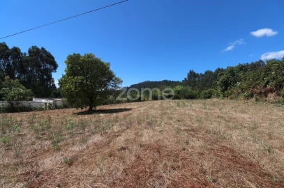 Terreno para Venda em Vale