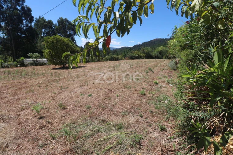 Terreno para Venda em Vale Foto 8