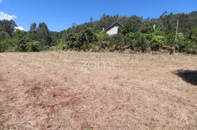 Terreno para Venda em Vale Foto 12