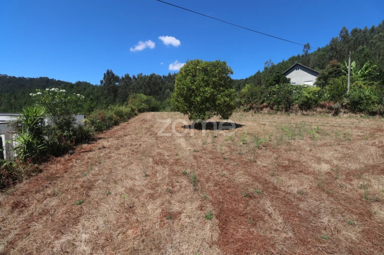 Terreno para Venda em Vale Foto 13